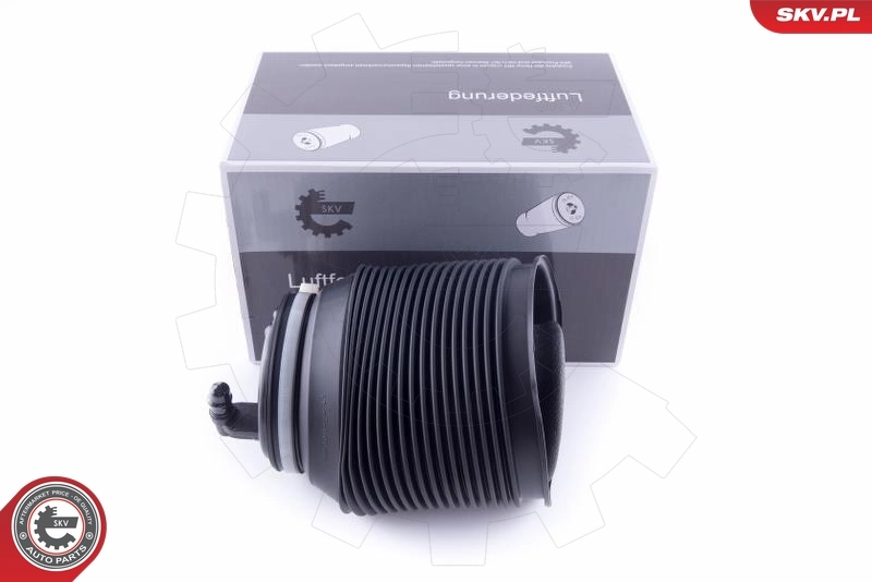 Air Spring, suspension